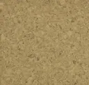 Maize