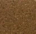 Acorn