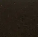 Tea Leaves