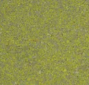 Pistachio