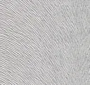 Lightsilver