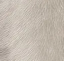 Lightbeige