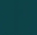 Petrol
