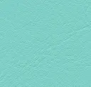 Aqua