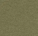 Cedar