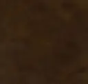 Benevolent Brown