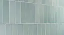 Robin Egg Blue