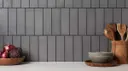 Fossil Gray