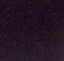 Shiraz