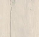 Nordic Plank