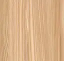 European Larch