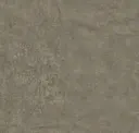 Nutmeg