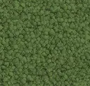 Medium Green
