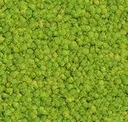Grass Green