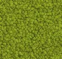 Spring Green