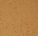 255 Desert Floor