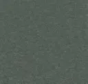 Pebble