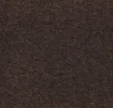 Truffle