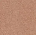 Sandy Orange