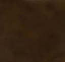 Benevolent Brown