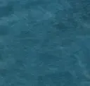 Calypso