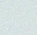 Blue Powder