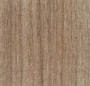 Cedar