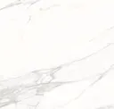 Veined