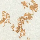 Bianca Gold Leaf