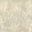 Oyster