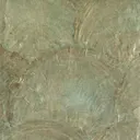 Patina Abalone
