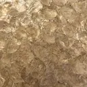 Golden Pearl