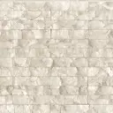 Silver Mollusk