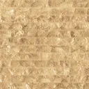 Golden Pearl