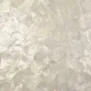 Oyster