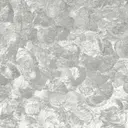 Silver Mollusk