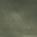 E273250