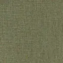 Brassy Olive