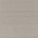 Silver Silk