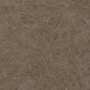 Bronco Brown