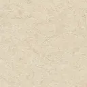 Sage Brush