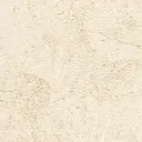 Palomino