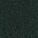 Ebony
