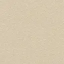 Cream Beige