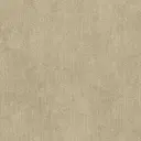 Raffia