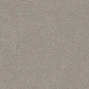 Silver Lace
