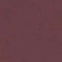 Boysenberry