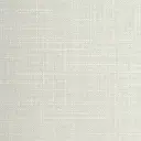White Marigold