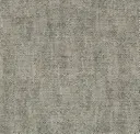 81