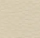 Parchment
